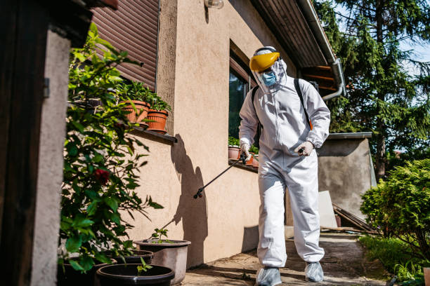 Best Pest Removal Services  in Tucumcari, NM