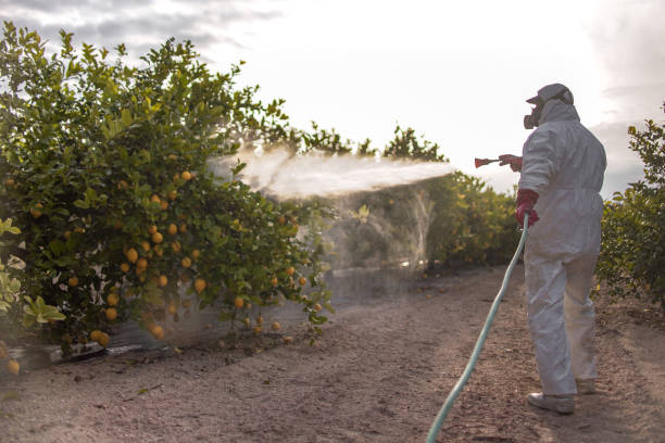 Best Best Pest Control Companies  in Tucumcari, NM